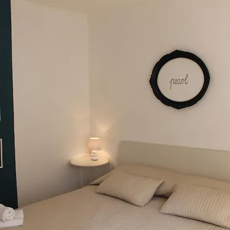 Sea Shell 챠브타트