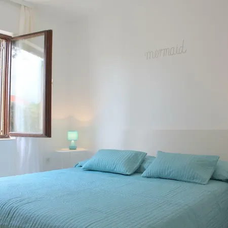 Sea Shell Apartment