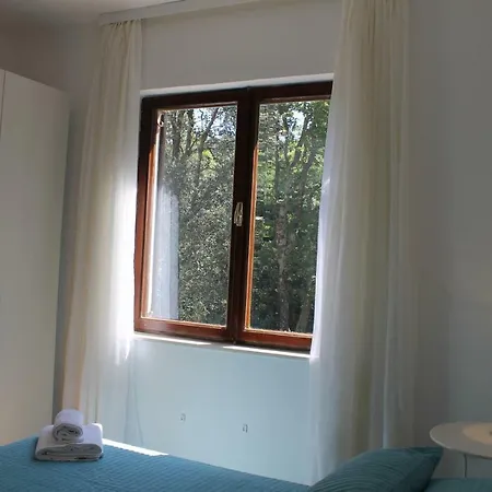 Sea Shell Apartment