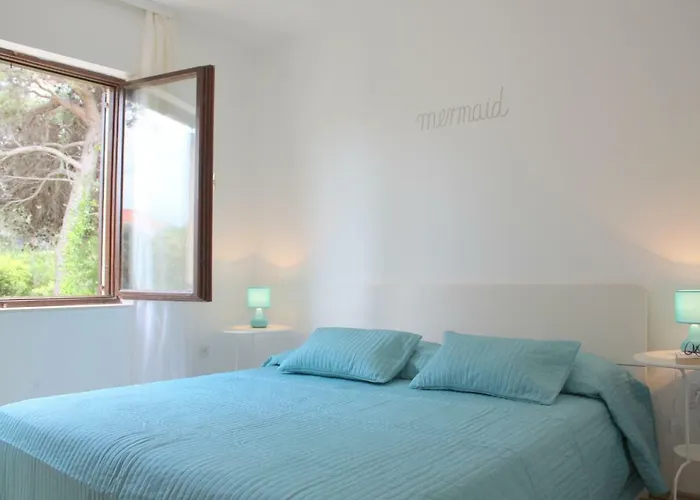Sea Shell Apartment